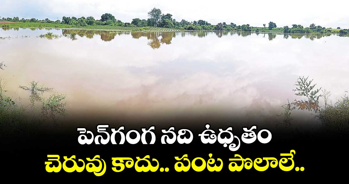 పెన్‌‌‌‌గంగ నది ఉధృతం : చెరువు కాదు.. పంట పొలాలే..
