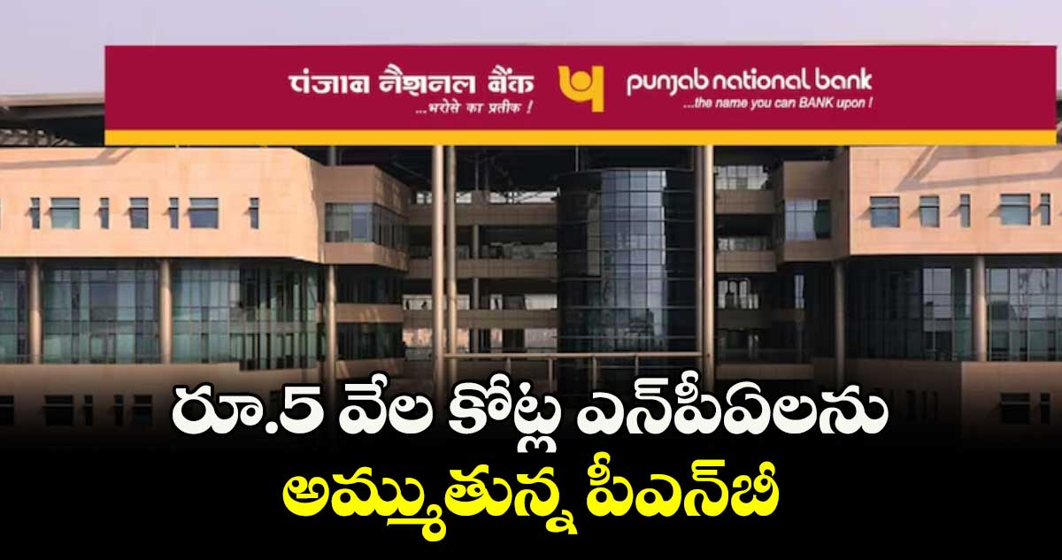 రూ.5 వేల కోట్ల ఎన్‌‌‌‌‌‌‌‌‌‌‌‌‌‌‌‌పీఏలను అమ్ముతున్న పీఎన్‌‌‌‌‌‌‌‌‌‌‌‌‌‌‌‌బీ