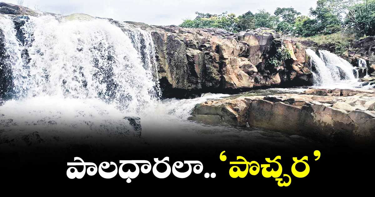 పాలధారలా.. ‘పొచ్చర’