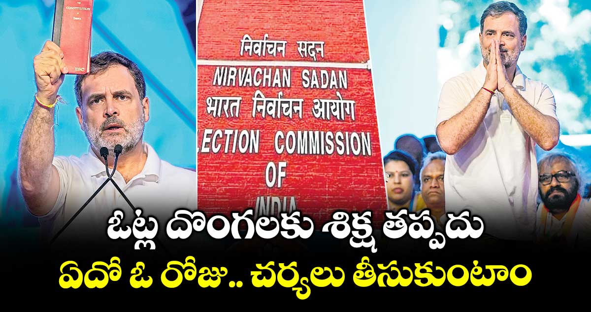 ఓట్ల దొంగలకు శిక్ష తప్పదు..ఏదో ఓ రోజు..చర్యలు తీసుకుంటాం: రాహుల్ గాంధీ