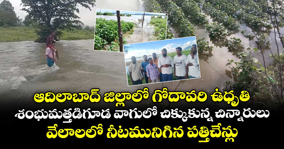 ఆదిలాబాద్ జిల్లాలో గోదావరి ఉధృతి..శంభుమత్తడిగూడ వాగులో చిక్కుకున్న చిన్నారులు.. వేలాలలో నీటమునిగిన పత్తిచేన్లు..