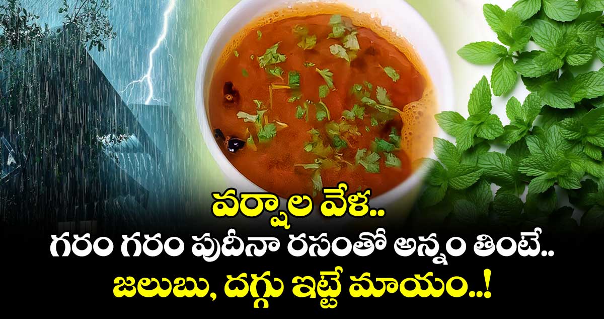 Good Food : వర్షాల వేళ.. గరం గరం పుదీనా రసంతో అన్నం తింటే.. జలుబు, దగ్గు ఇట్టే మాయం..!