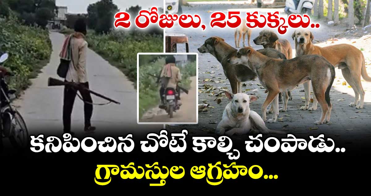 2 రోజులు, 25 కుక్కలు.. కనిపించిన చోటే కాల్చి చంపాడు.. గ్రామస్తుల ఆగ్రహం...