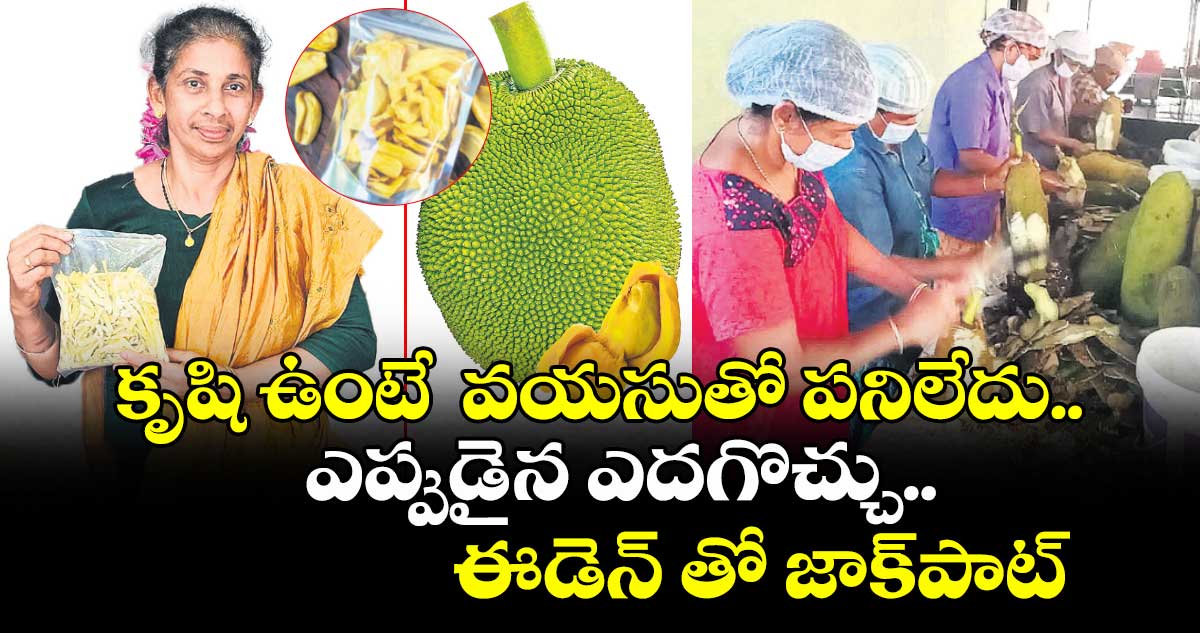 కృషి ఉంటే వయసుతో పనిలేదు..ఎప్పుడైన ఎదగొచ్చు.. ఈడెన్ తో జాక్పాట్