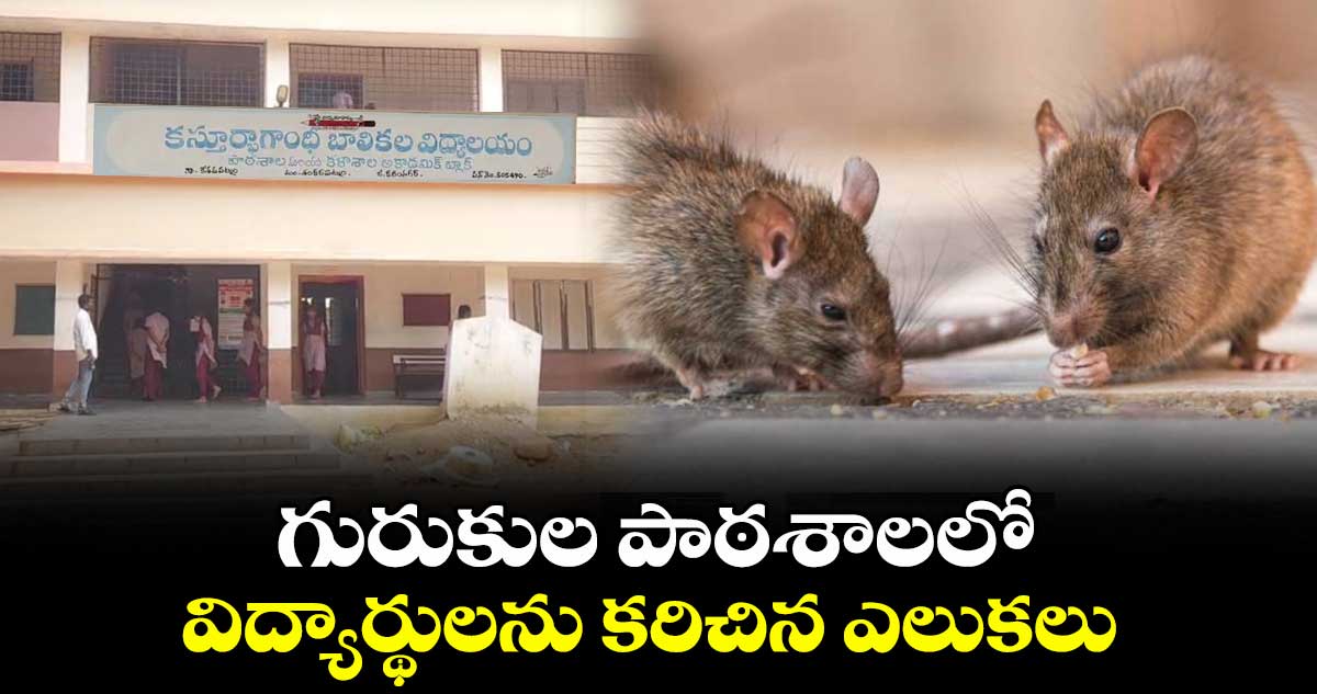 గురుకుల పాఠశాలలో విద్యార్థులను కరిచిన ఎలుకలు