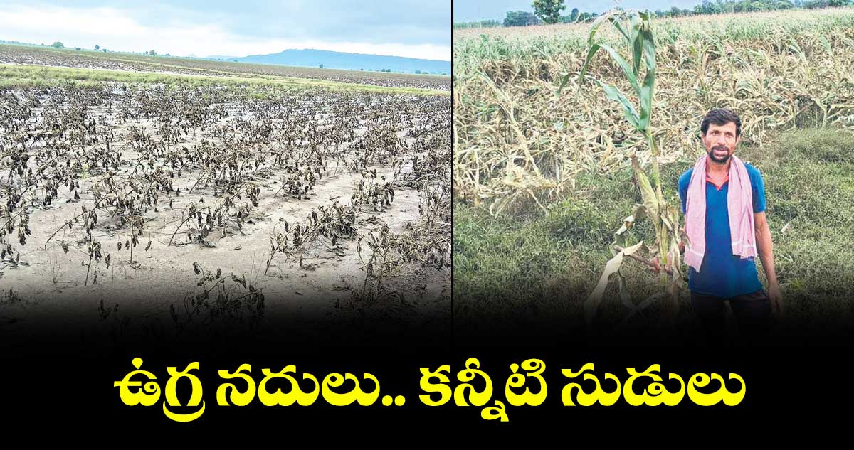 ఉగ్ర నదులు.. కన్నీటి సుడులు