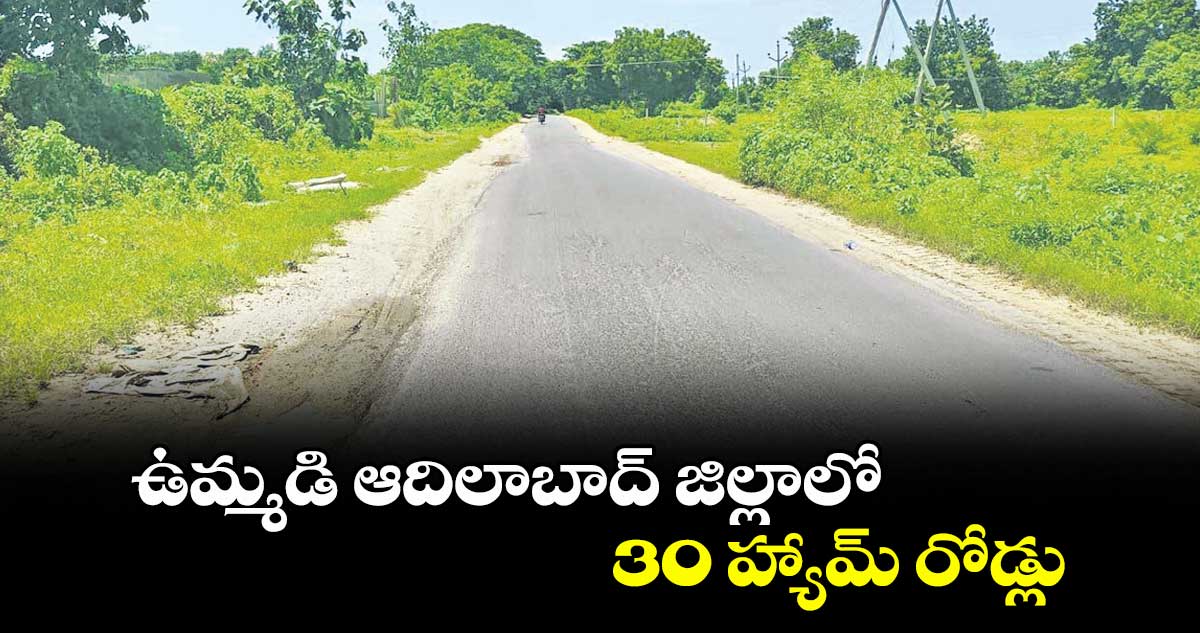 ఉమ్మడి ఆదిలాబాద్జిల్లాలో 30 హ్యామ్ రోడ్లు
