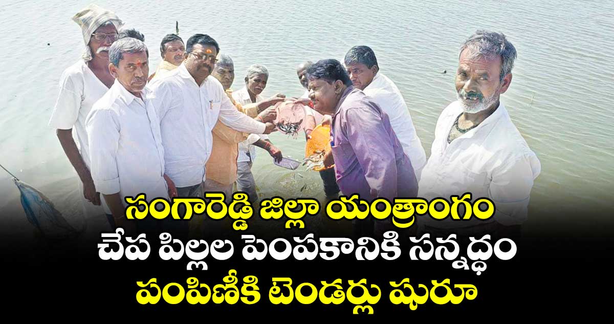 సంగారెడ్డి జిల్లా యంత్రాంగం చేప పిల్లల పెంపకానికి సన్నద్ధం.. పంపిణీకి టెండర్లు షురూ