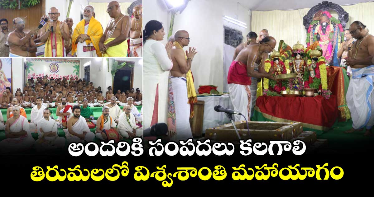 అందరికి సంపదలు కలగాలి.. తిరుమలలో విశ్వశాంతి మహాయాగం
