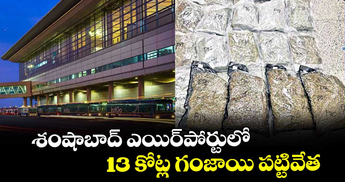 శంషాబాద్ ఎయిర్పోర్టులో 13 కోట్ల గంజాయి పట్టివేత