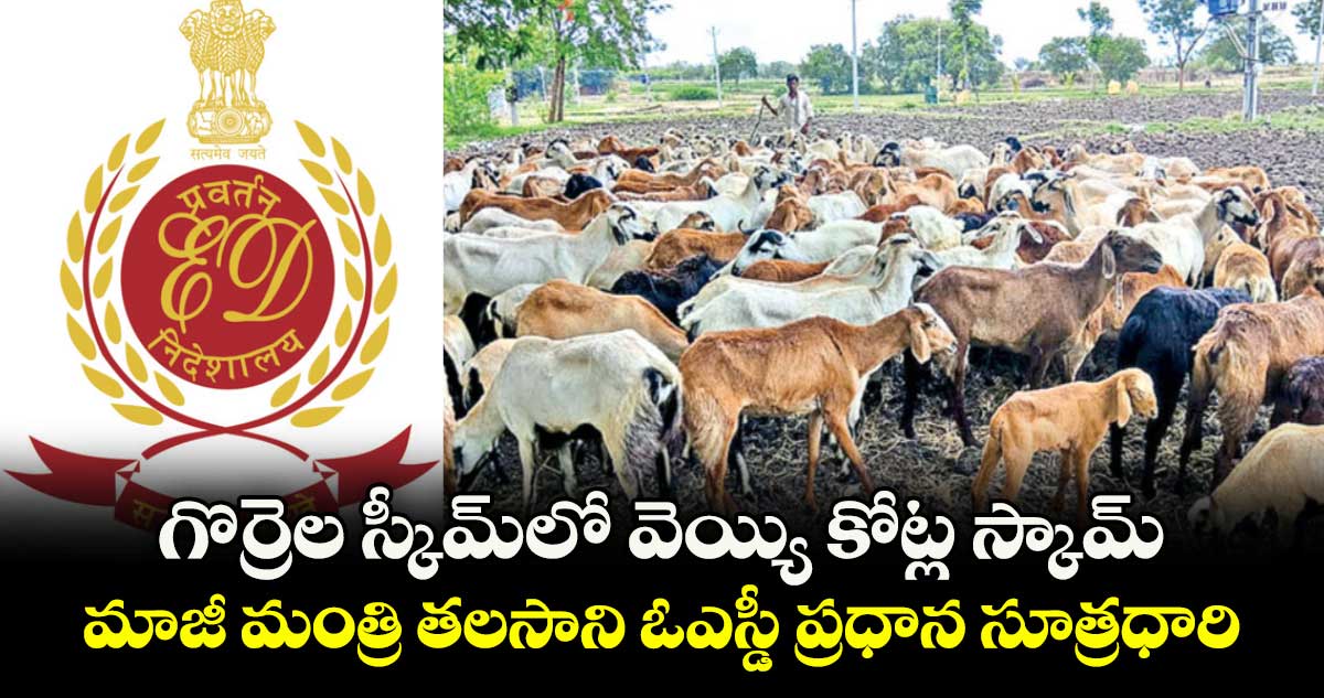 గొర్రెల స్కీమ్లో వెయ్యి కోట్ల స్కామ్.. మాజీ మంత్రి తలసాని ఓఎస్డీ ప్రధాన సూత్రధారి