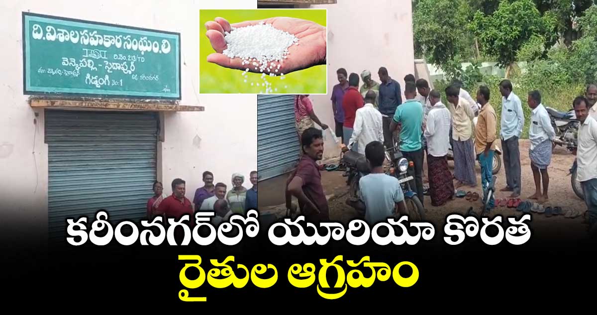 కరీంనగర్లో యూరియా కొరత..రైతుల ఆగ్రహం