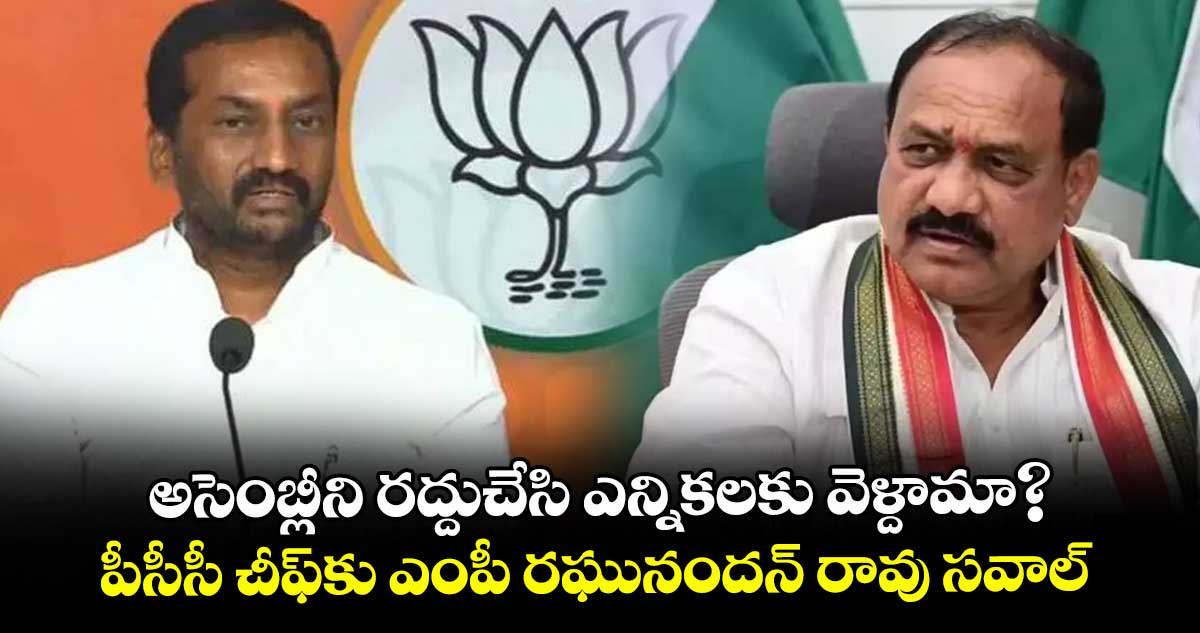 అసెంబ్లీని రద్దుచేసి ఎన్నికలకు వెళ్దామా?..పీసీసీ చీఫ్కు ఎంపీ రఘునందన్ రావు సవాల్