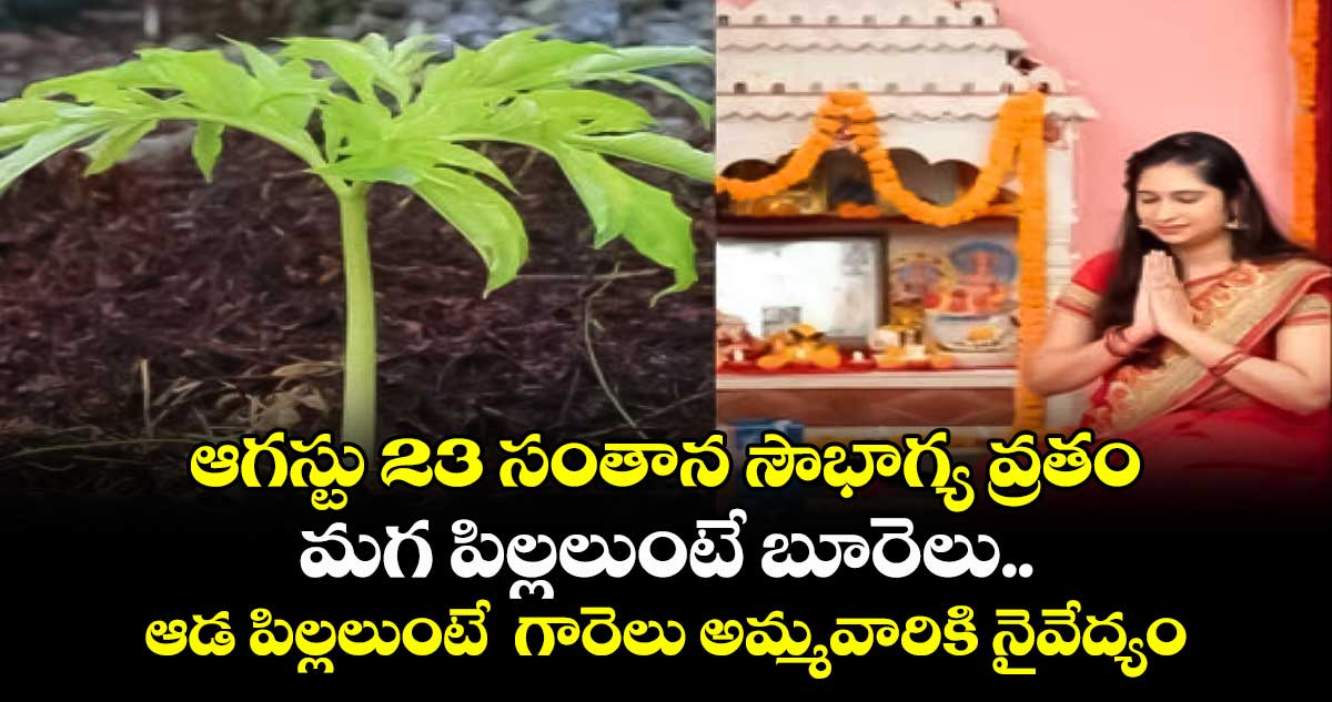 ఆగస్టు 23 సంతాన సౌభాగ్య వ్రతం : మగ పిల్లలుంటే బూరెలు.. ఆడ పిల్లలుంటే గారెలు అమ్మవారికి నైవేద్యం