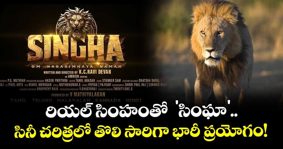 Singha : రియల్ సింహంతో 'సింఘా'.. సినీ చరిత్రలో తొలి సారిగా భారీ ప్రయోగం!