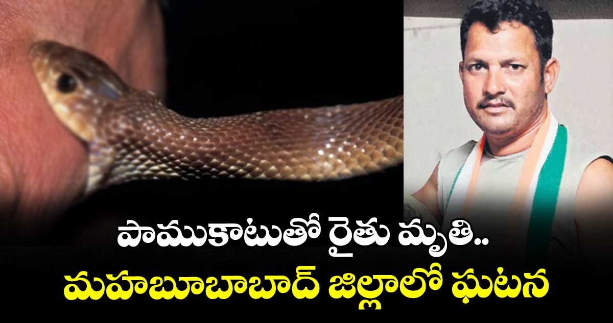 పాముకాటుతో రైతు మృతి.. మహబూబాబాద్ జిల్లాలో ఘటన