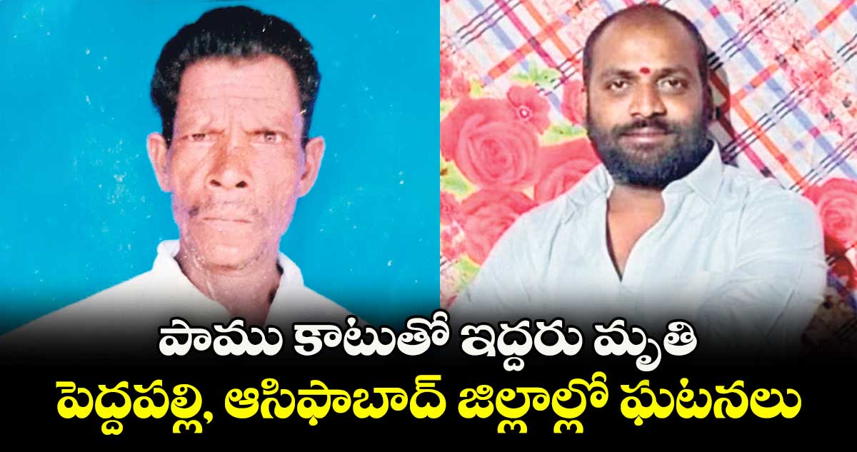 పాము కాటుతో ఇద్దరు మృతి  ..పెద్దపల్లి, ఆసిఫాబాద్ జిల్లాల్లో ఘటనలు