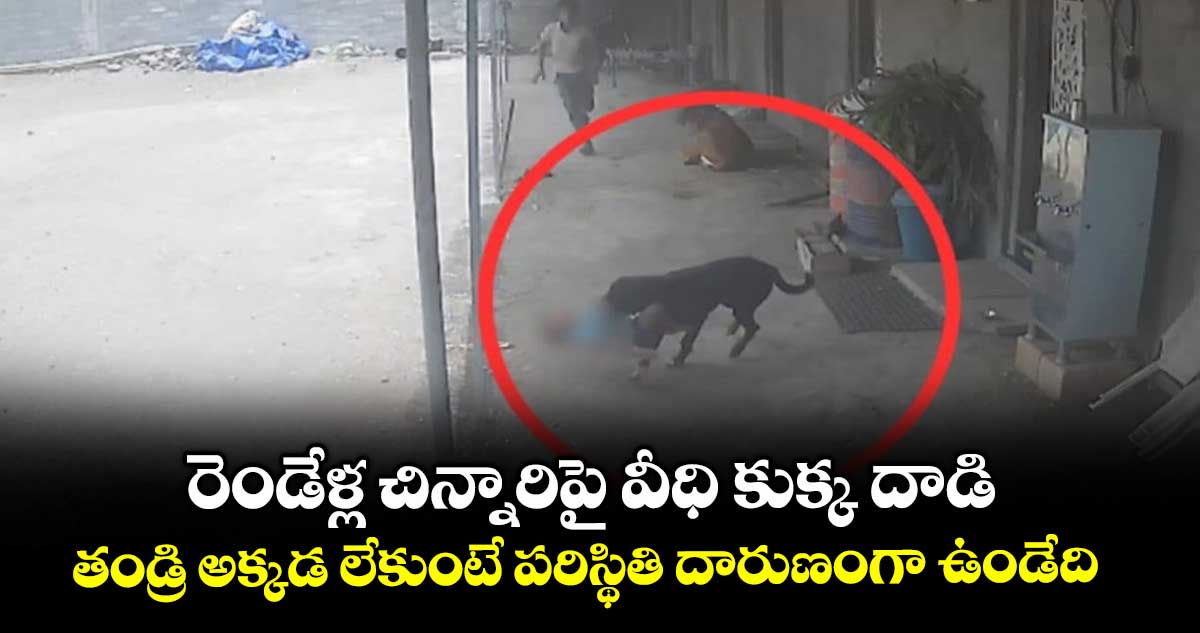 Viral Video: రెండేళ్ల చిన్నారిపై వీధి కుక్క దాడి..తండ్రి అక్కడ లేకుంటే పరిస్థితి దారుణంగా ఉండేది