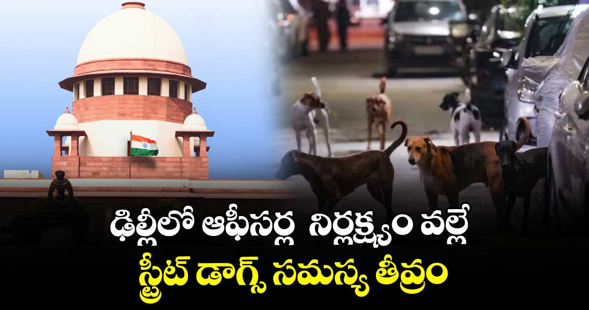 ఢిల్లీలో ఆఫీసర్ల  నిర్లక్ష్యం వల్లే స్ట్రీట్ డాగ్స్ సమస్య తీవ్రం: సుప్రీంకోర్టు 