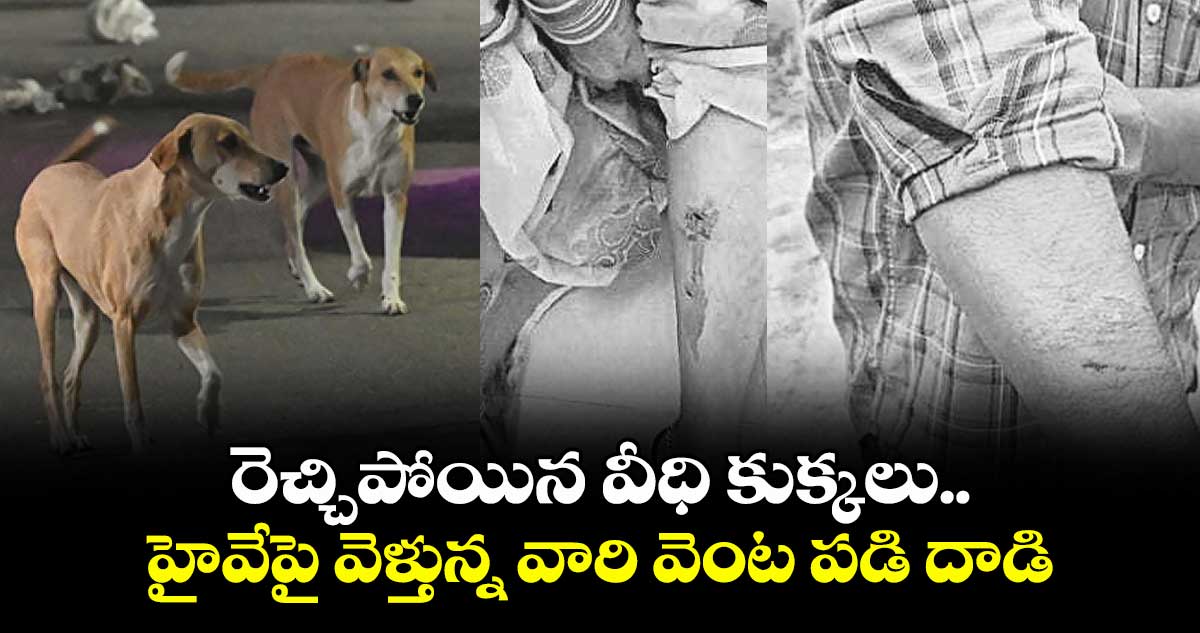 రెచ్చిపోయిన వీధి కుక్కలు..హైవేపై వెళ్తున్న వారి వెంట పడి దాడి