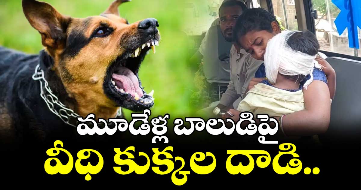 మూడేళ్ల బాలుడిపై వీధి కుక్కల దాడి..