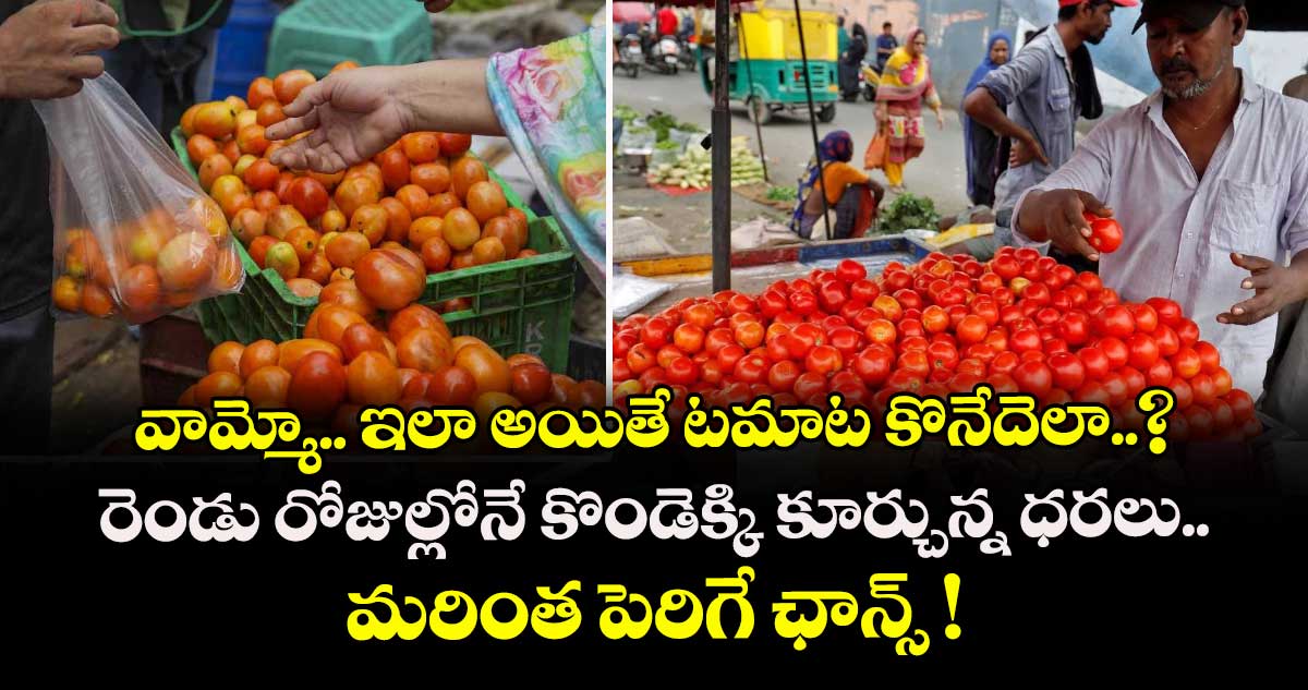 వామ్మో.. ఇలా అయితే టమాట కొనేదెలా..? రెండు రోజుల్లోనే కొండెక్కి కూర్చున్న ధరలు.. మరింత పెరిగే ఛాన్స్ !