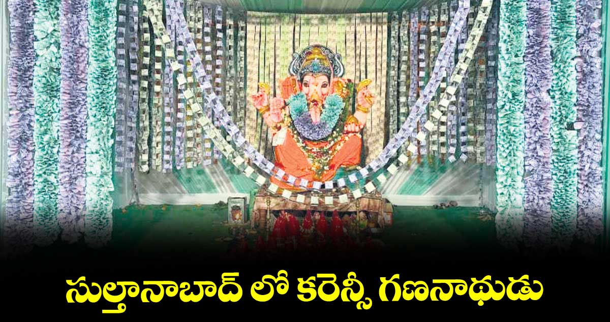 సుల్తానాబాద్ లో కరెన్సీ గణనాథుడు