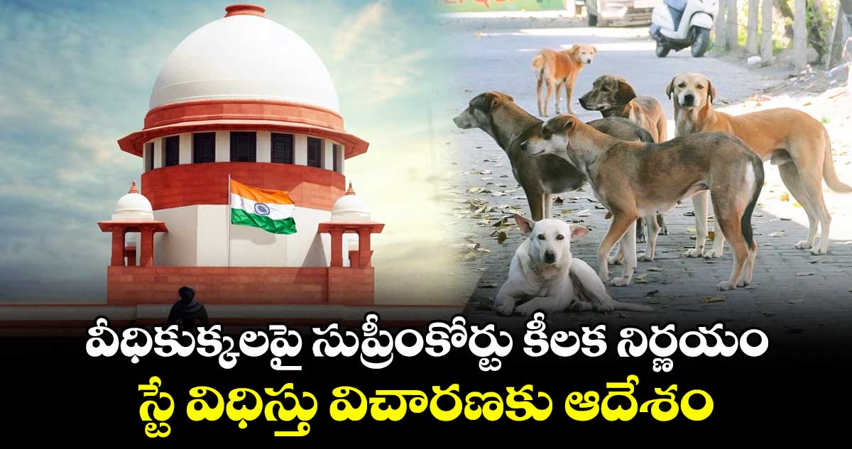 వీధికుక్కలపై సుప్రీంకోర్టు కీలక నిర్ణయం.. స్టే విధిస్తు విచారణకు ఆదేశం..
