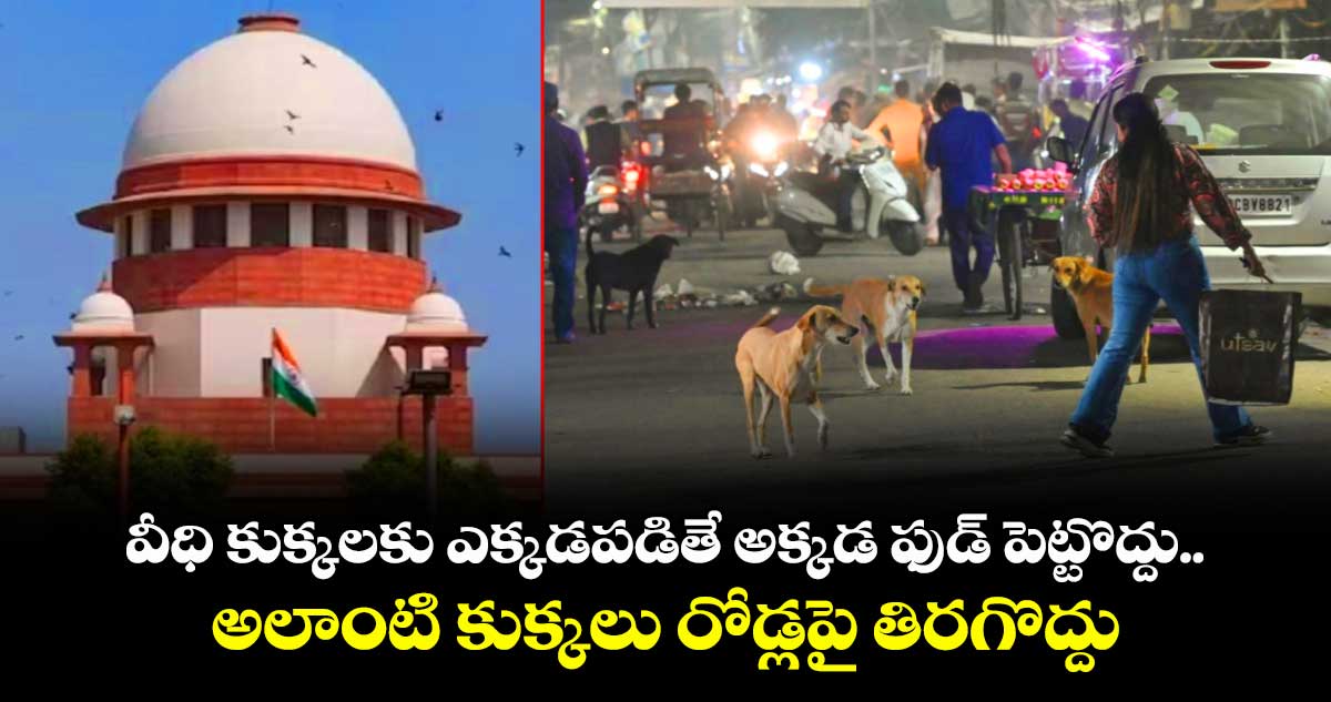 వీధి కుక్కలకు ఎక్కడపడితే అక్కడ ఫుడ్ పెట్టొద్దు.. అలాంటి కుక్కలు రోడ్లపై తిరగొద్దు : సుప్రీంకోర్టు