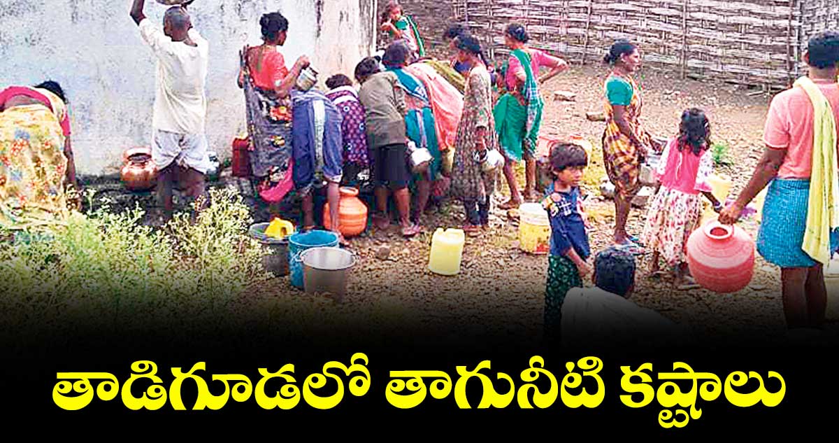 తాడిగూడలో తాగునీటి కష్టాలు