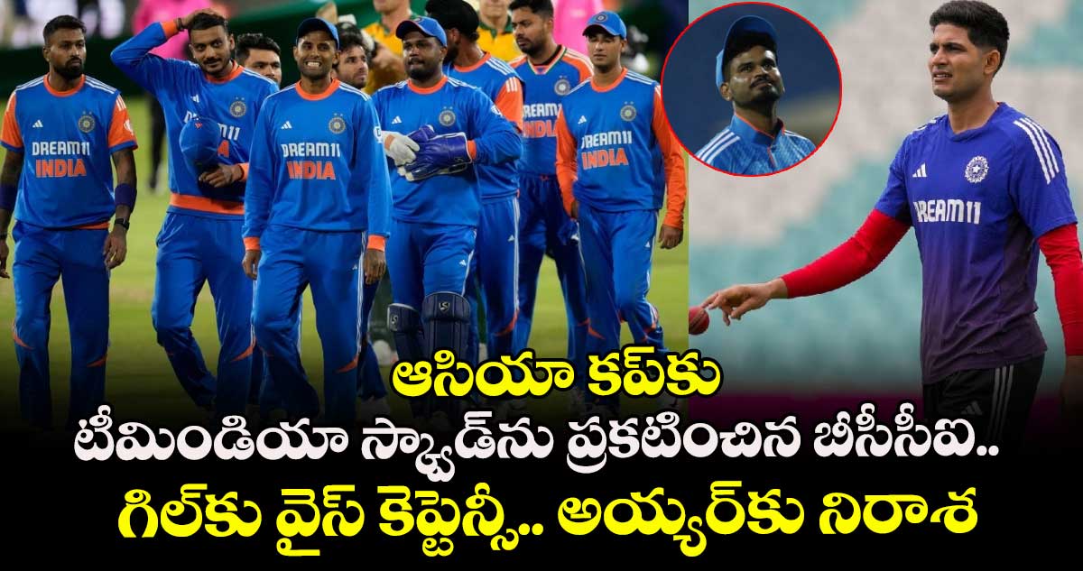 Asia Cup 2025: ఆసియా కప్‌కు టీమిండియా స్క్వాడ్‌ను ప్రకటించిన బీసీసీఐ.. గిల్‌కు వైస్ కెప్టెన్సీ.. అయ్యర్‌కు నిరాశ
