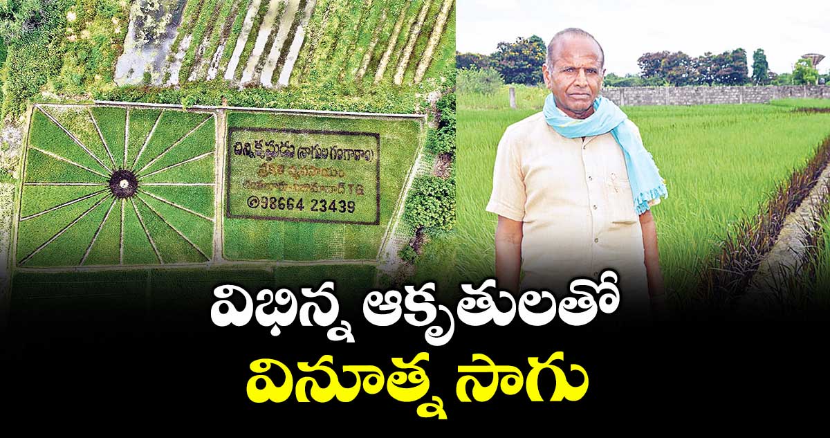 విభిన్న ఆకృతులతో వినూత్న సాగు 