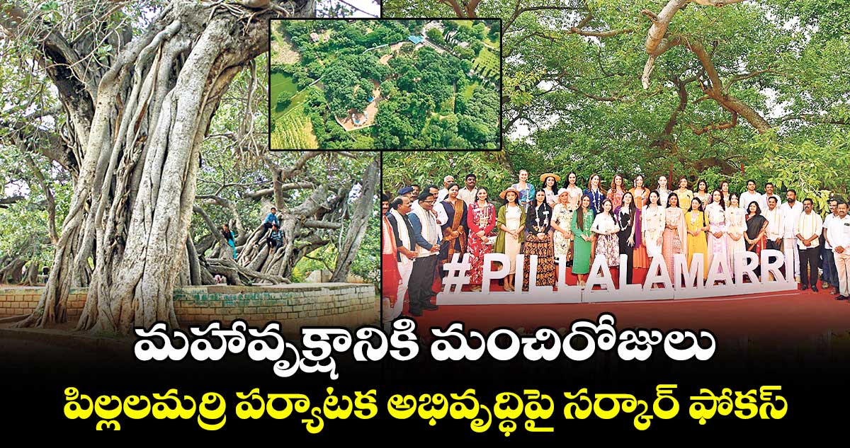 Telangana Tourism : మహావృక్షానికి మంచిరోజులు ..పిల్లలమర్రి పర్యాటక అభివృద్ధిపై సర్కార్ ఫోకస్