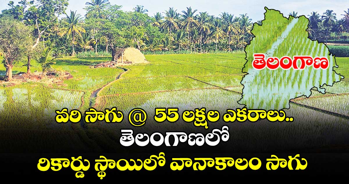 వరి సాగు @ 55 లక్షల ఎకరాలు... తెలంగాణలో రికార్డు స్థాయిలో వానాకాలం సాగు