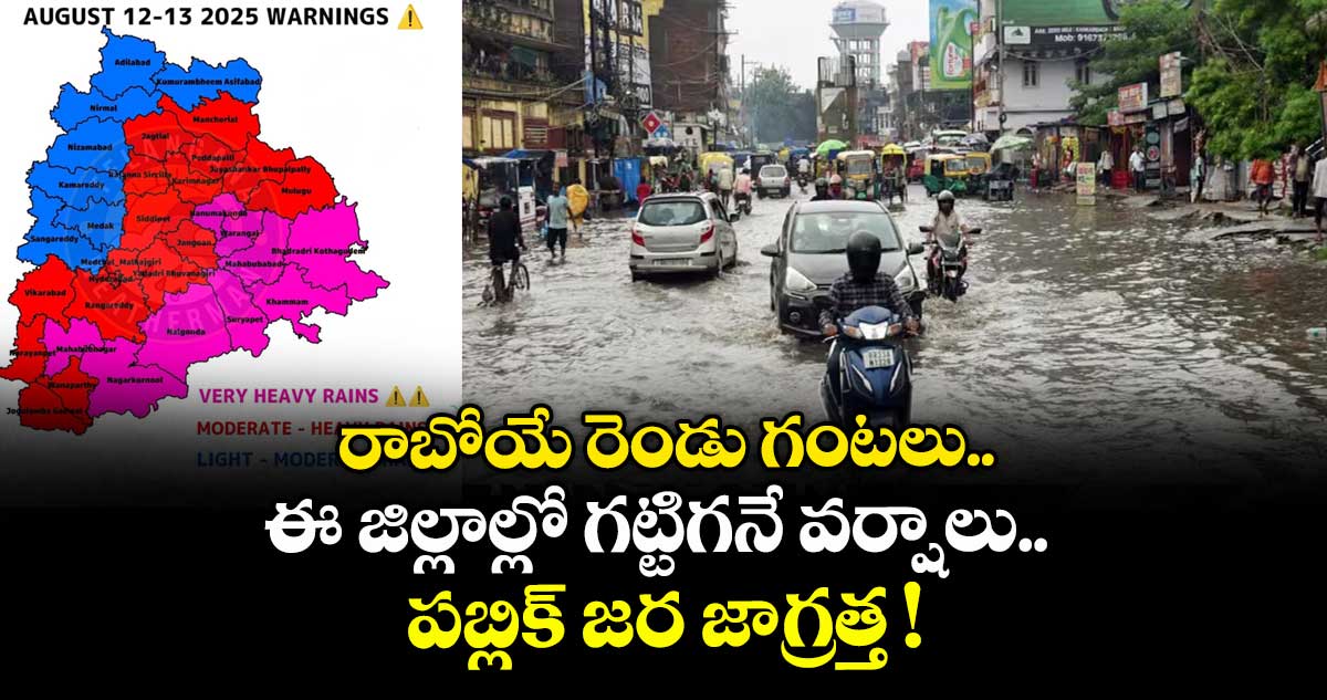 రాబోయే రెండు గంటలు.. ఈ జిల్లాల్లో గట్టిగనే వర్షాలు.. పబ్లిక్ జర జాగ్రత్త !
