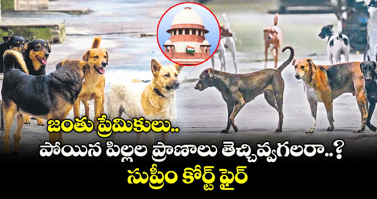 జంతు ప్రేమికులు.. పోయిన పిల్లల ప్రాణాలు తెచ్చివ్వగలరా..? సుప్రీం కోర్ట్ ఫైర్