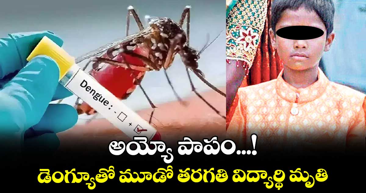 అయ్యో పాపం...! డెంగ్యూతో మూడో తరగతి విద్యార్థి మృతి