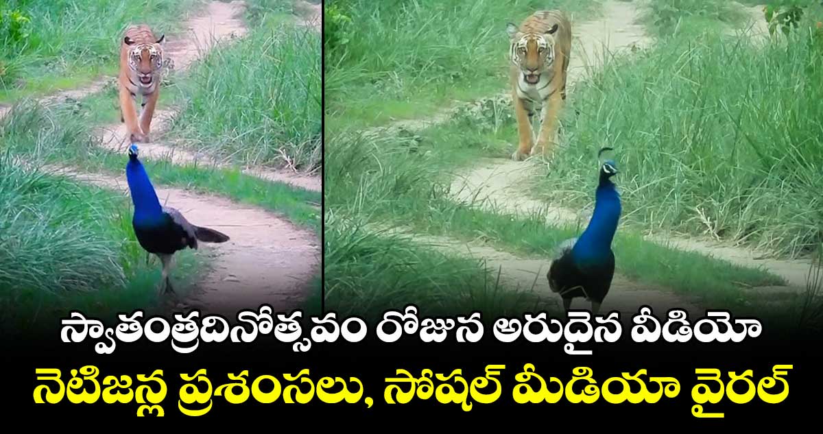 స్వాతంత్రదినోత్సవం రోజున అరుదైన వీడియో.. నెటిజన్ల ప్రశంసలు, సోషల్ మీడియా వైరల్..  