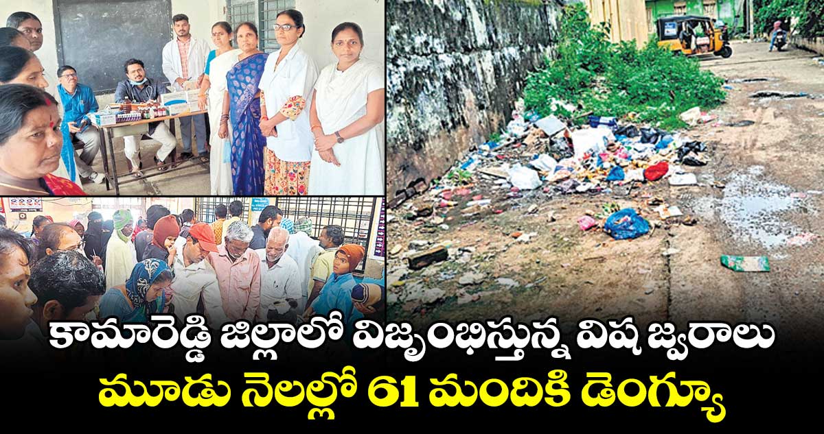 కామారెడ్డి జిల్లాలో విజృంభిస్తున్న విష జ్వరాలు ..మూడు నెలల్లో 61 మందికి డెంగ్యూ