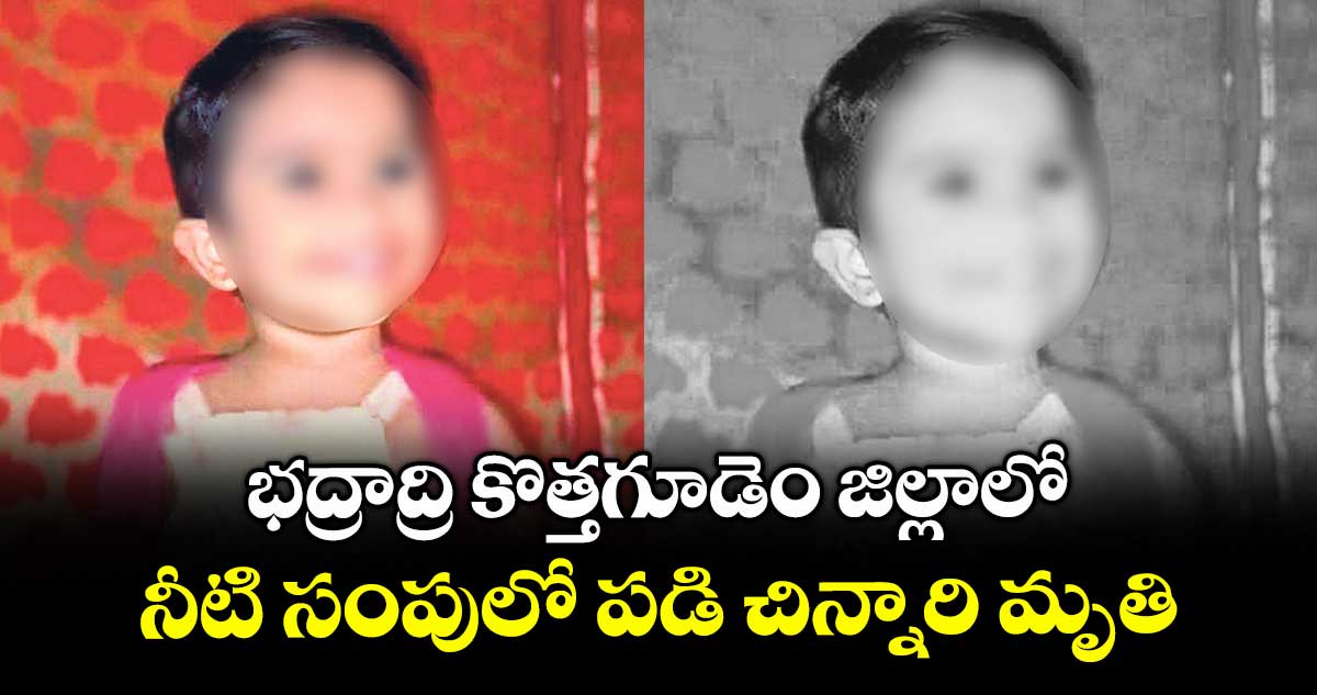 భద్రాద్రి కొత్తగూడెం జిల్లాలో నీటి సంపులో పడి చిన్నారి మృతి