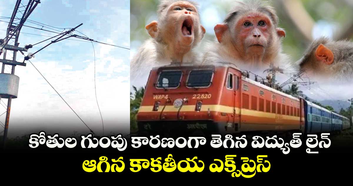 కోతుల గుంపు కారణంగా తెగిన విద్యుత్‌‌ లైన్‌‌.. ఆగిన కాకతీయ ఎక్స్‌‌ప్రెస్‌‌