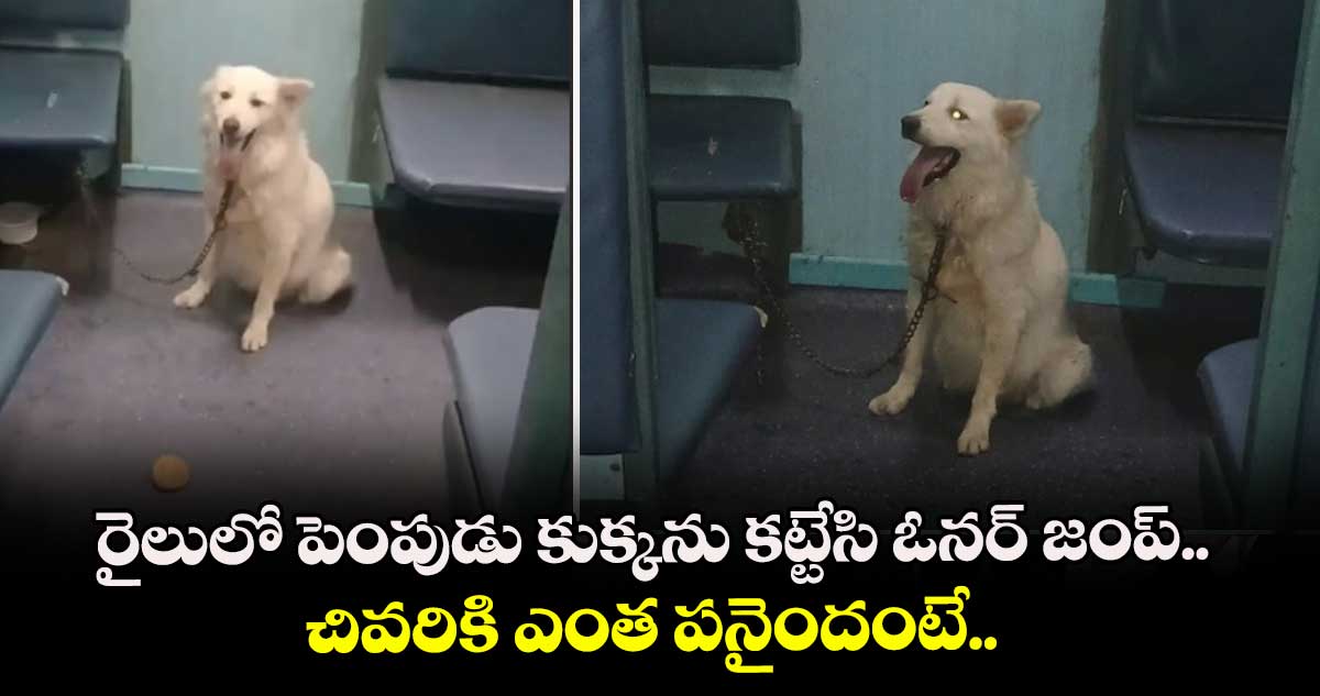 రైలులో పెంపుడు కుక్కను కట్టేసి ఓనర్ జంప్.. చివరికి ఎంత పనైందంటే..