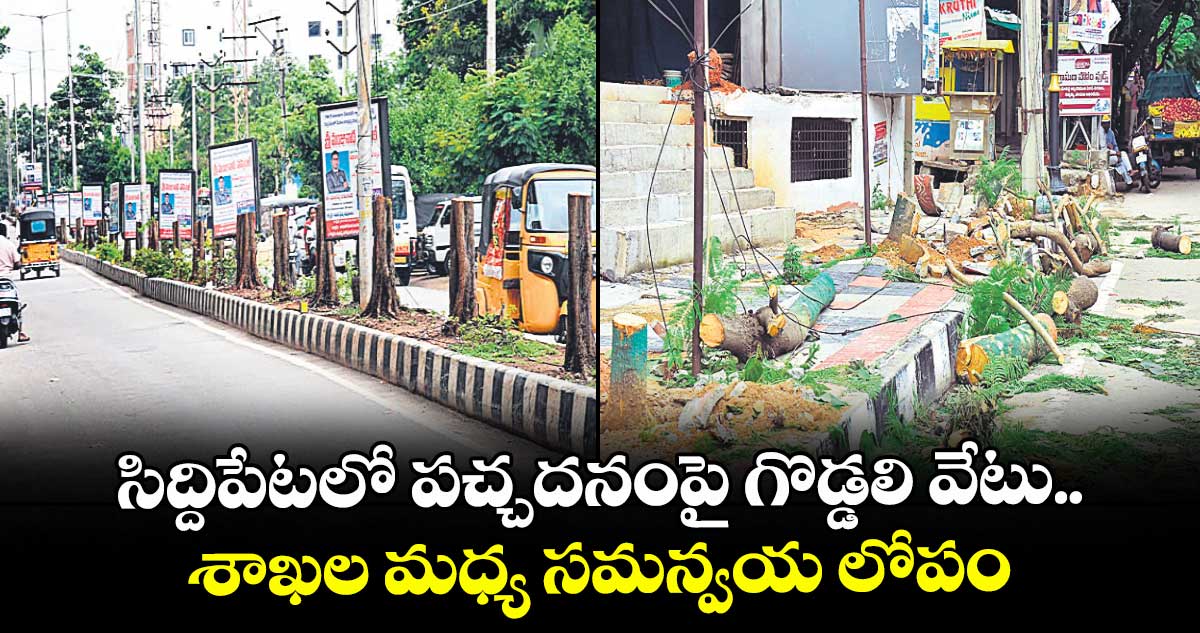 సిద్దిపేటలో పచ్చదనంపై గొడ్డలి వేటు..శాఖల మధ్య సమన్వయ లోపం