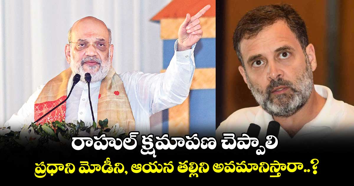 రాహుల్ క్షమాపణ చెప్పాలి.. ప్రధాని మోడీని, ఆయన తల్లిని అవమానిస్తారా..? అమిత్ షా