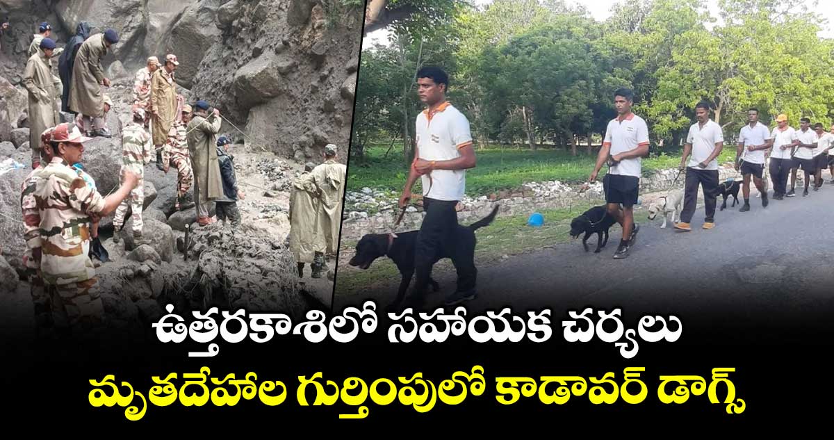 ఉత్తరకాశిలో సహాయక చర్యలు..మృతదేహాల గుర్తింపులో కాడావర్ డాగ్స్