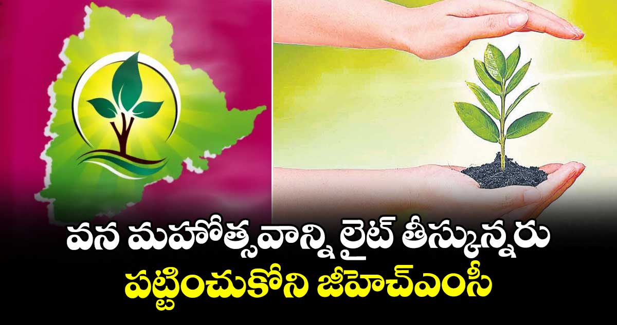 వన మహోత్సవాన్ని లైట్ తీస్కున్నరు .. పట్టించుకోని జీహెచ్ఎంసీ