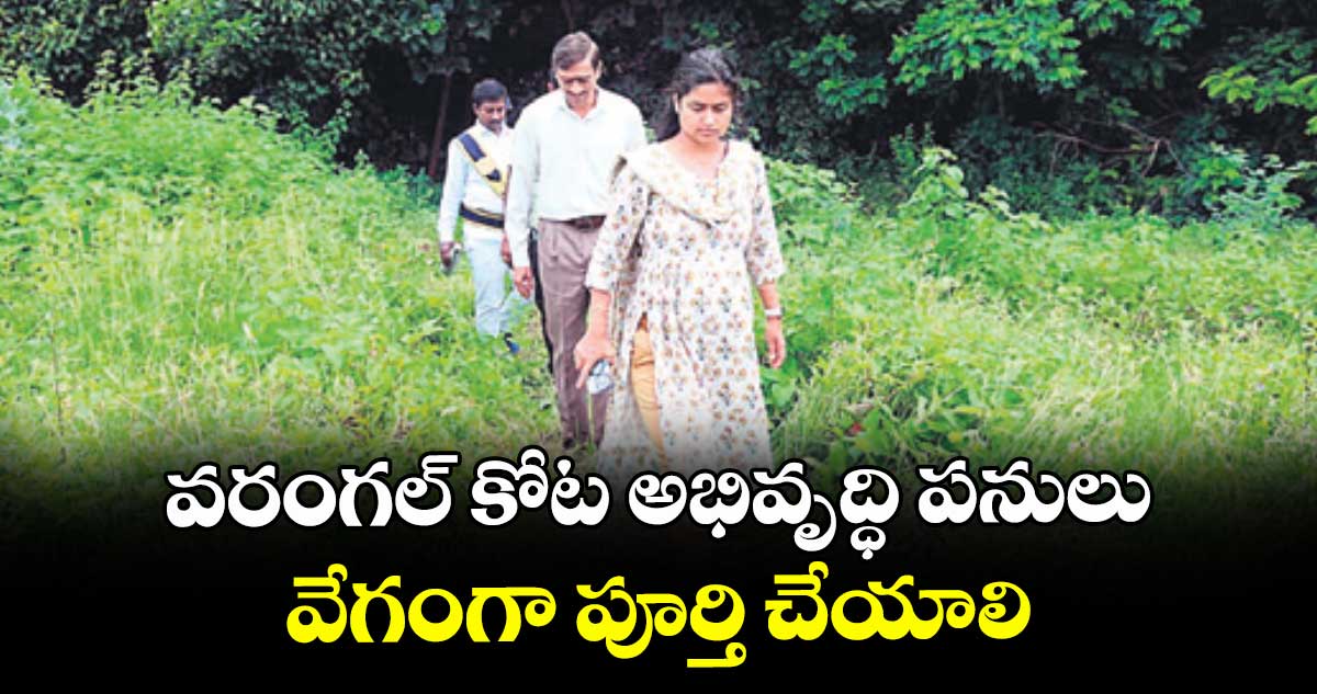 వరంగల్ కోట అభివృద్ధి పనులు వేగంగా పూర్తి చేయాలి : జీడబ్ల్యూఎంసీ కమిషనర్ చాహత్ బాజ్ పాయ్