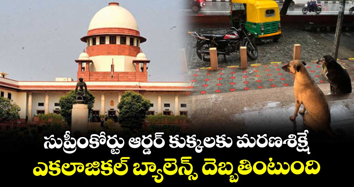 సుప్రీంకోర్టు ఆర్డర్ కుక్కలకు మరణశిక్షే...! ఎకలాజికల్ బ్యాలెన్స్ దెబ్బతింటుంది: మేనకా గాంధీ