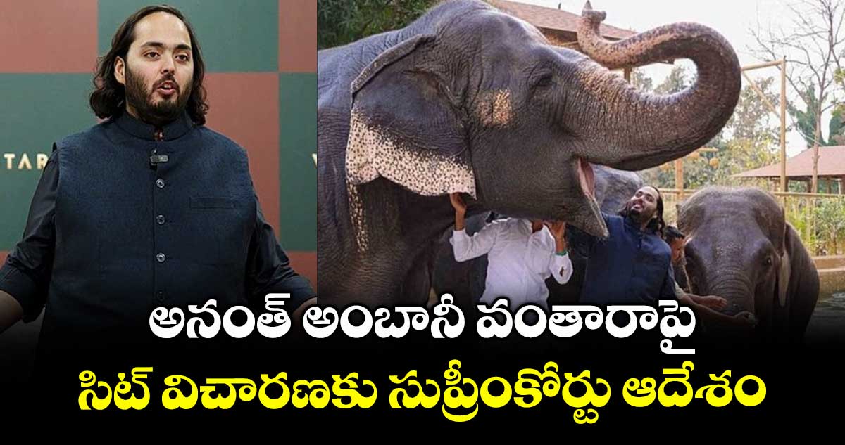 అనంత్ అంబానీ వంతారాపై.. సిట్ విచారణకు సుప్రీంకోర్టు ఆదేశం 