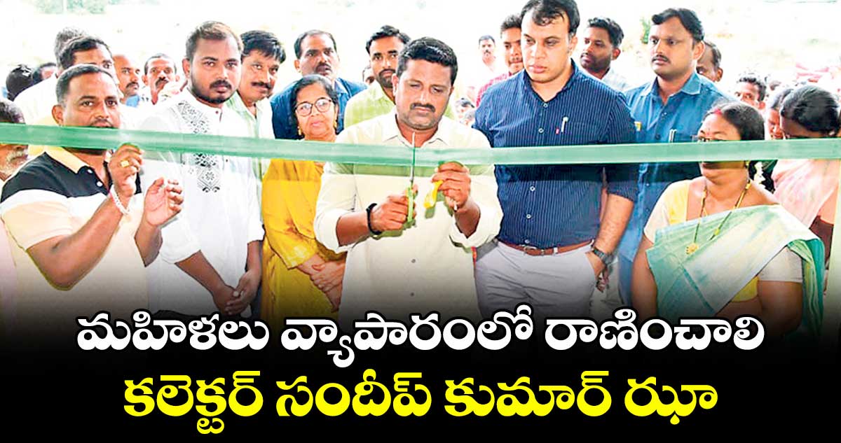మహిళలు వ్యాపారంలో రాణించాలి ..కలెక్టర్ సందీప్ కుమార్ ఝా